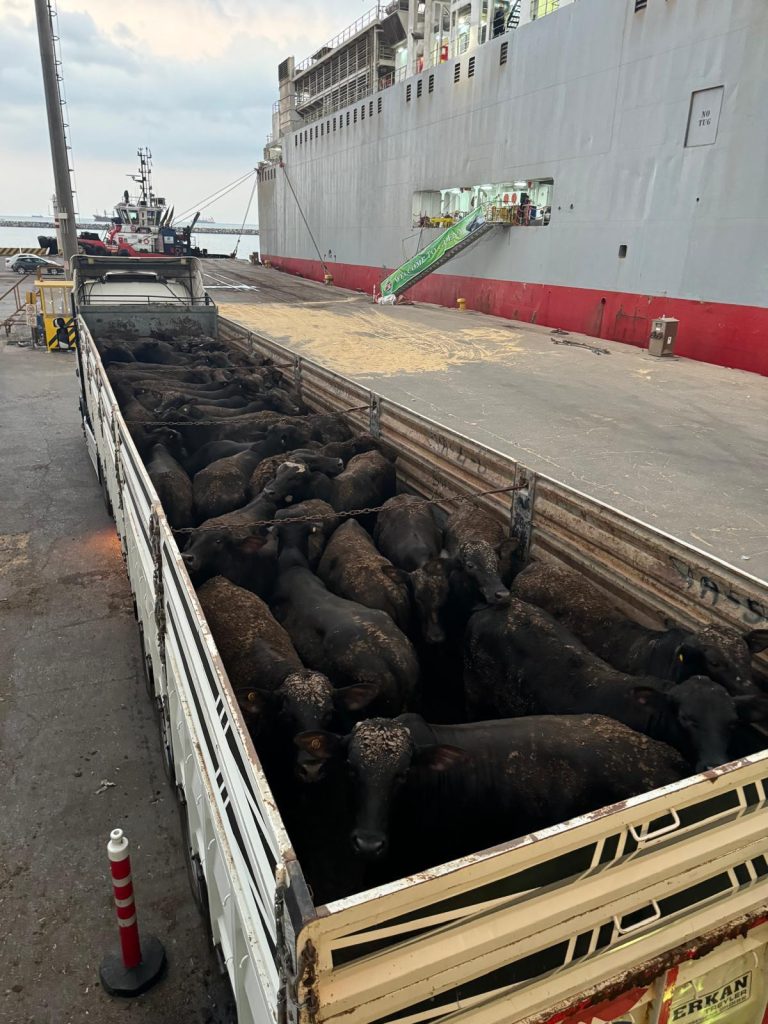 ÜRETİCİLERİMİZE HAYIRLI OLSUN